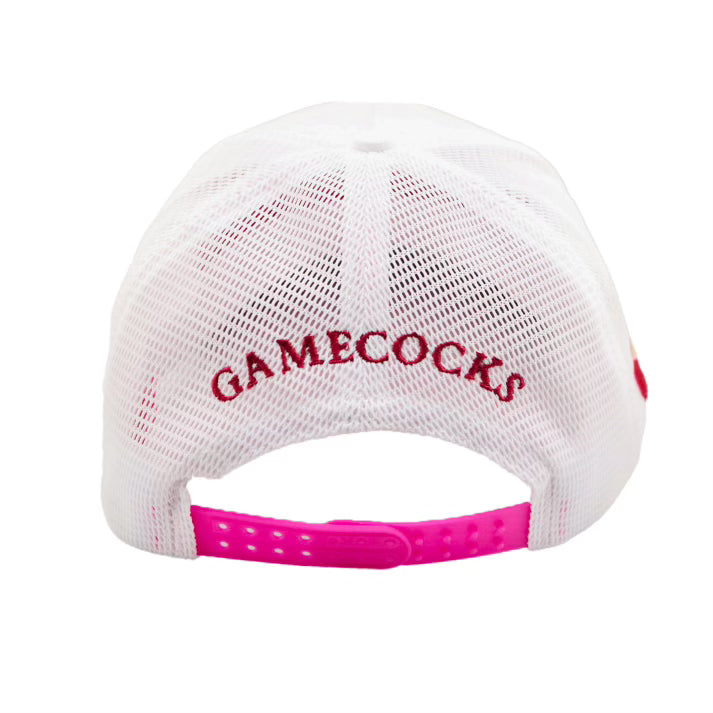 South Carolina Gamecocks